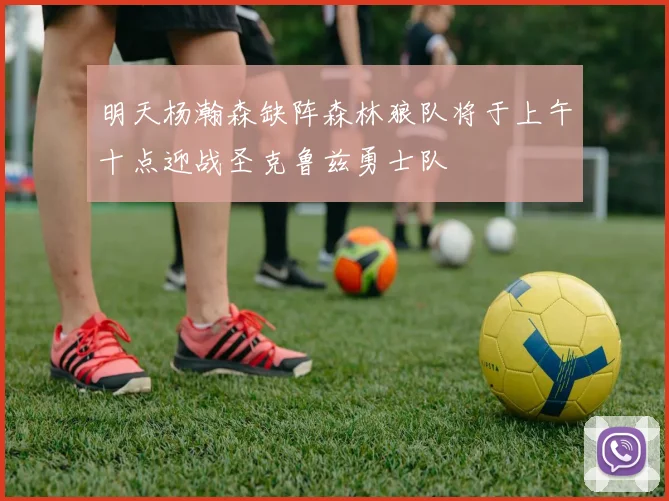 明天杨瀚森缺阵森林狼队将于上午十点迎战圣克鲁兹勇士队